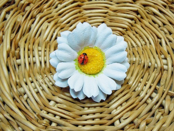 Салфетка из микрофибры фото цветы - Ромашки