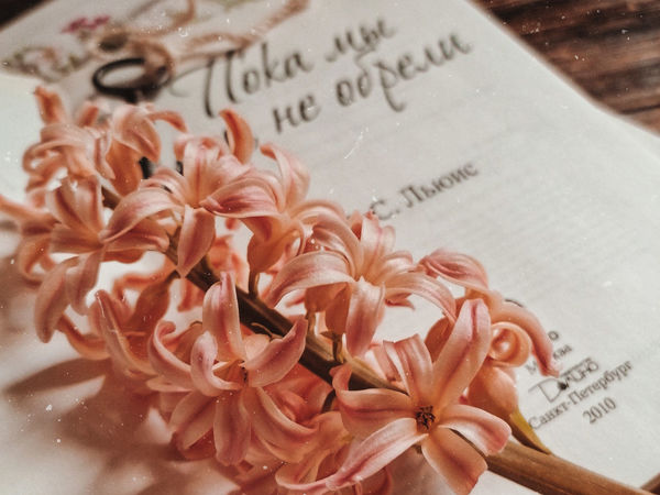 Три книжные притчи | Ярмарка Мастеров - ручная работа, handmade