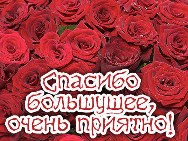 Ура!!! Сегодня моя коллекция