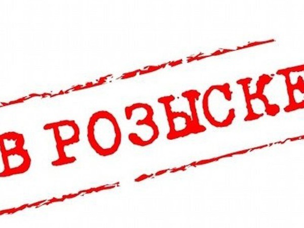 Потерялся человек :))) | Ярмарка Мастеров - ручная работа, handmade