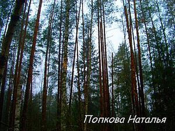 Аномальная зона. Фантастический рассказ. День шестой(окончание). | Ярмарка Мастеров - ручная работа, handmade