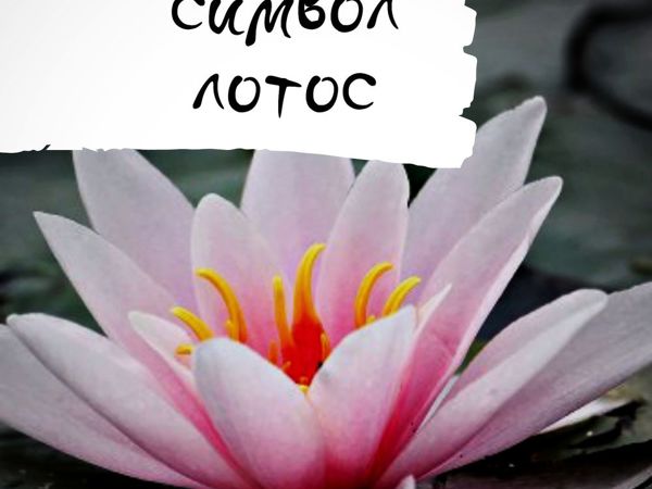 Символы: Лотос | Ярмарка Мастеров - ручная работа, handmade
