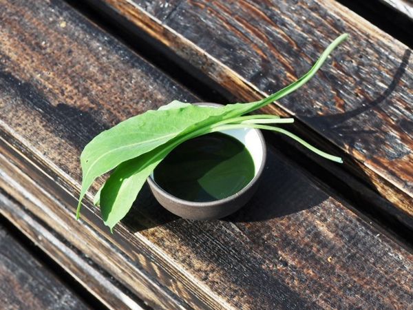 Новинки у Mylnitsa. Усьма для роста ресниц, бровей, волос | Ярмарка Мастеров - ручная работа, handmade