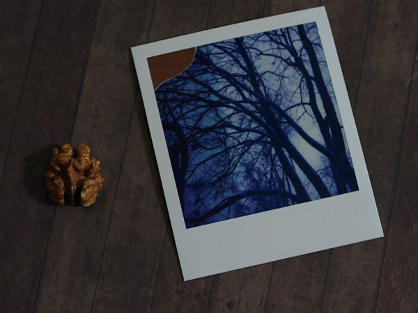 Про Polaroid | Ярмарка Мастеров - ручная работа, handmade