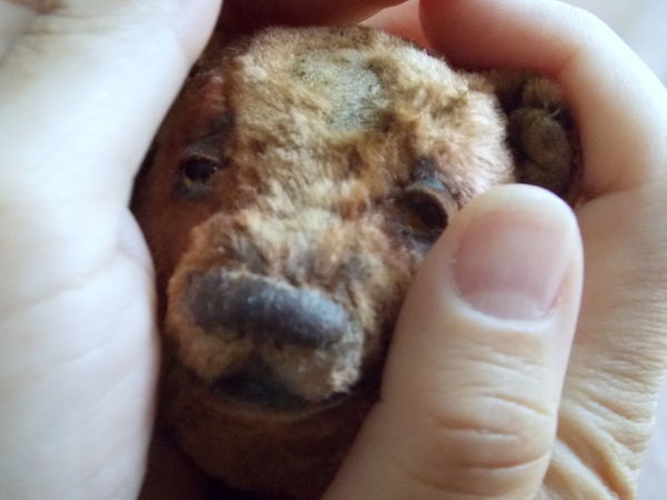 My big, honey bear....скоро)) | Ярмарка Мастеров - ручная работа, handmade