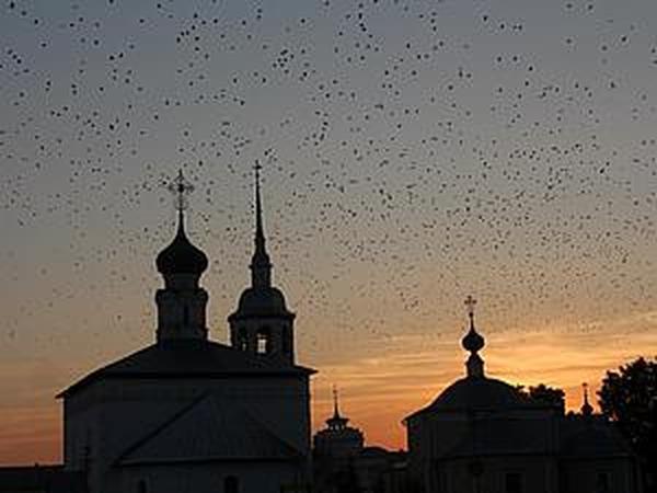 Мое летнее путешествие. Часть третья: Суздаль. | Ярмарка Мастеров - ручная работа, handmade