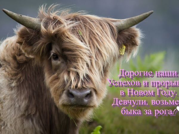 Поздравление | Ярмарка Мастеров - ручная работа, handmade