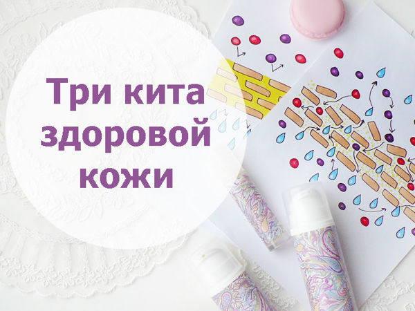 То, что должен знать о коже каждый! | Ярмарка Мастеров - ручная работа, handmade