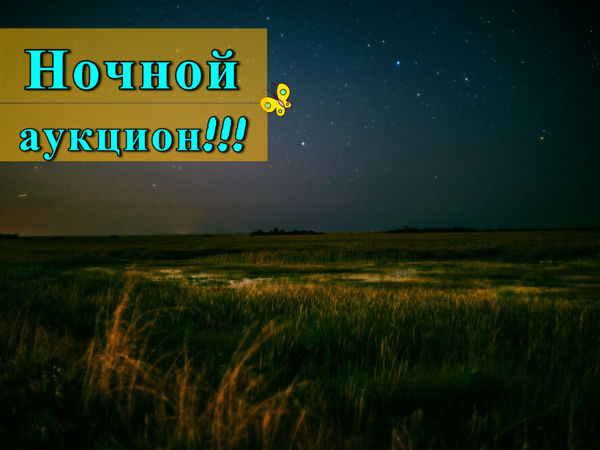 Ночной аукцион (завершён) | Ярмарка Мастеров - ручная работа, handmade Ночной аукцион (завершён) | Ярмарка Мастеров - ручная работа, handmade