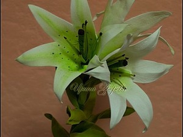 Лилии из джута Мастер класс | DIY How to make a Lily from jute