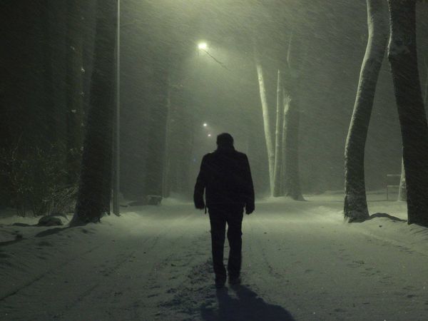 Случай в степи, в двадцати километрах от станции Б. | Ярмарка Мастеров - ручная работа, handmade