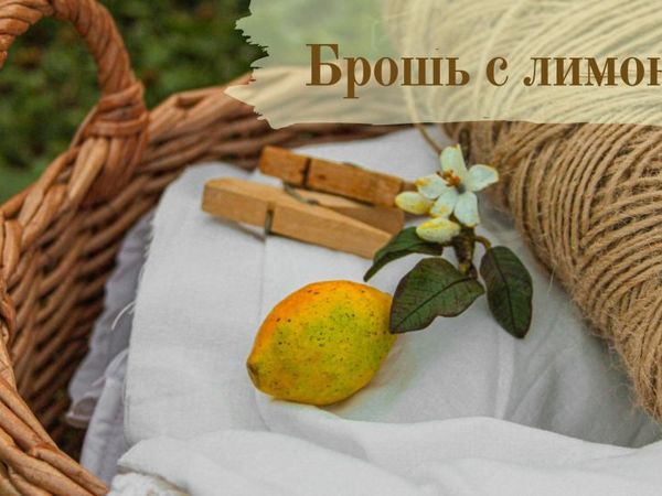 Лепим брошь с лимоном | Ярмарка Мастеров - ручная работа, handmade