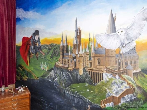 Mom Recreated Magical World Of Harry Potter In Nursery | Livemaster - handmade