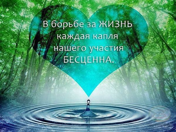 Благотворительная лотерея у Андрея Карпова! Нужна информационная поддержка! | Ярмарка Мастеров - ручная работа, handmade