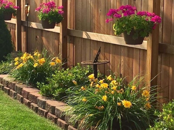 30 фото заборов с цветами: как превратить ваш забор в цветник