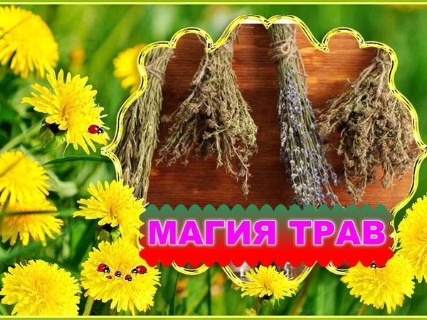 Магия трав | Ярмарка Мастеров - ручная работа, handmade