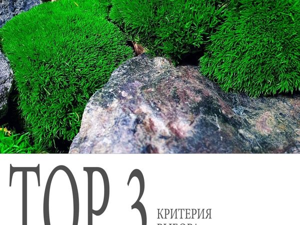 Три критерия при выборе растений | Ярмарка Мастеров - ручная работа, handmade