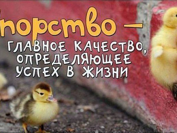 Ничто в мире не может заменить упорства. | Ярмарка Мастеров - ручная работа, handmade
