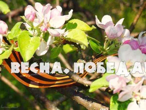 С днем Победы , друзья! | Ярмарка Мастеров - ручная работа, handmade
