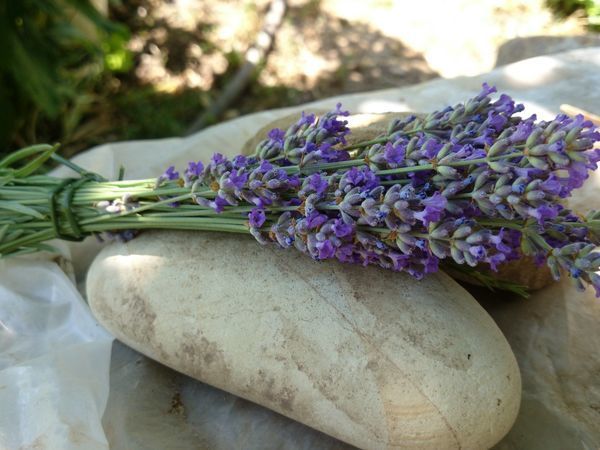 Каникулы! | Ярмарка Мастеров - ручная работа, handmade