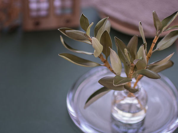 Creating Olive Branches from Foamiran for Boutonnieres | Livemaster - handmade