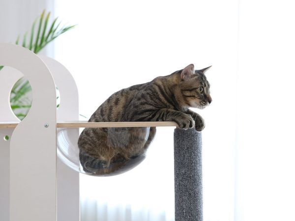 Tuft + Paw Designers Figured out How to Entertain a Cat and Decorate the House | Livemaster - handmade