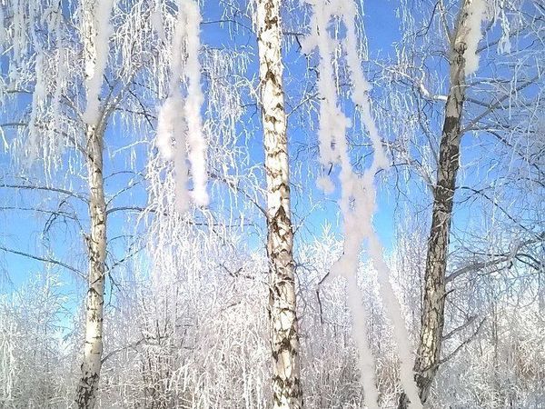 Аукцион Самарские Сезоны. Зимняя Рыбалка! | Ярмарка Мастеров - ручная работа, handmade