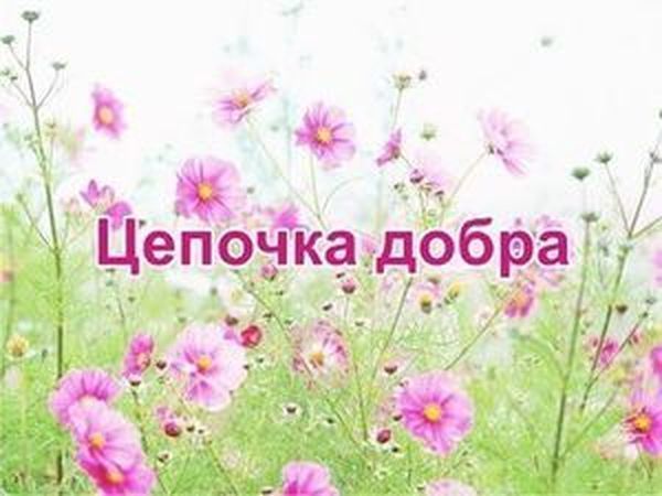 Приглашаю на благотворительную лотерею в помощь семье маленькой Полины | Ярмарка Мастеров - ручная работа, handmade