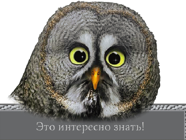 Объявленная ценность - нужен совет | Ярмарка Мастеров - ручная работа, handmade