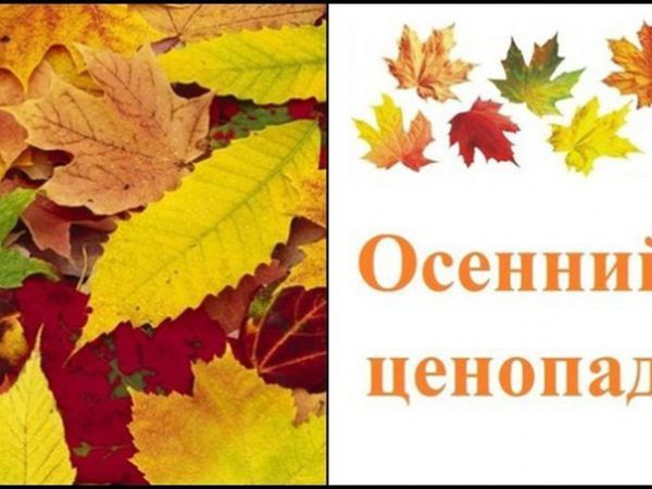 Поступить осенью. Осенние скидки. Баннер осень. Ценопад баннер. Ценопад картинка.