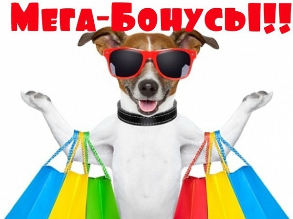 Аукцион