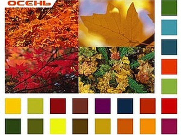 Цветовые типы: Осень | Ярмарка Мастеров - ручная работа, handmade