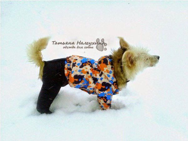 Шьем зимний костюм для собаки. Часть1. Штанишки | Ярмарка Мастеров - ручная работа, handmade