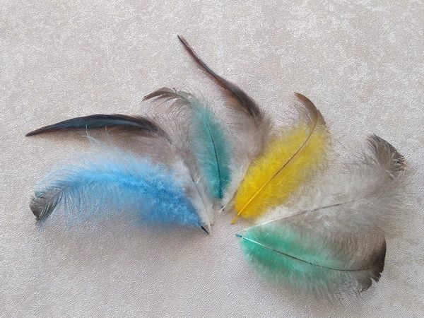 Как покрасить перья