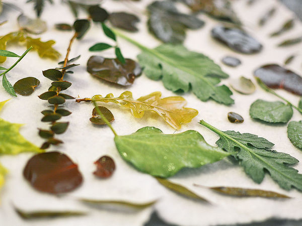 Творчество, красота и вдохновение | Ярмарка Мастеров - ручная работа, handmade