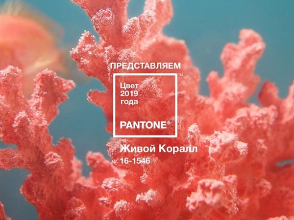 Самый модный цвет 2019 года – Living Coral! | Ярмарка Мастеров - ручная работа, handmade
