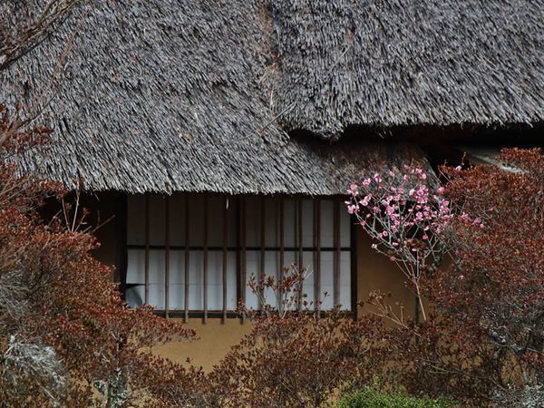 Фото по запросу Японский дом