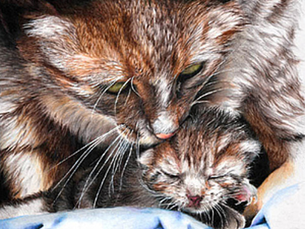 Кошки на полотнах Питера Уильямса | Ярмарка Мастеров - ручная работа, handmade