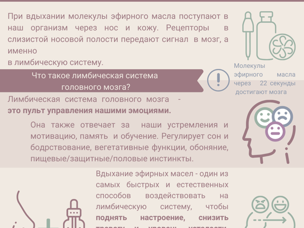 Как действуют эфирные масла? | Ярмарка Мастеров - ручная работа, handmade