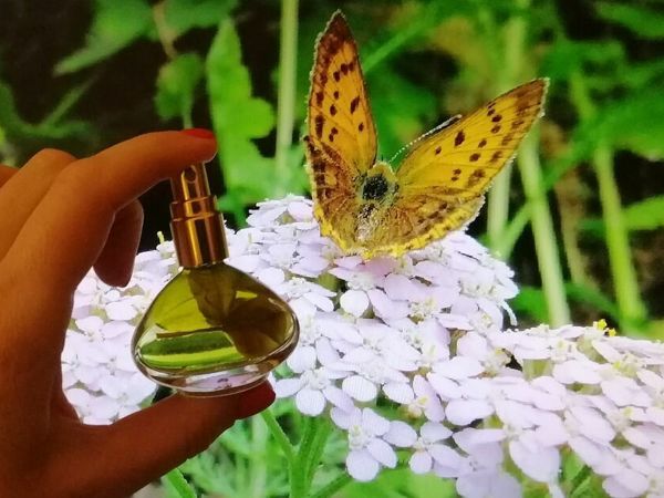 Артефакт успеха и продвижения! | Ярмарка Мастеров - ручная работа, handmade