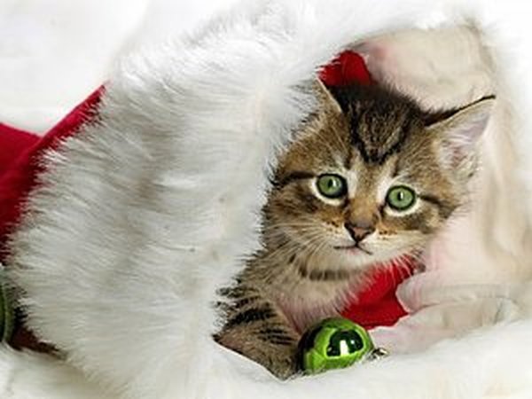 Новый Год - время чудес! Или большая подборка о нем...! | Ярмарка Мастеров - ручная работа, handmade