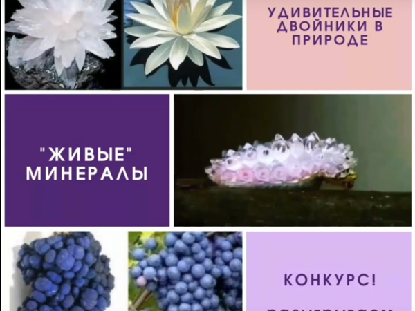 Внимание! Конкурс! | Ярмарка Мастеров - ручная работа, handmade