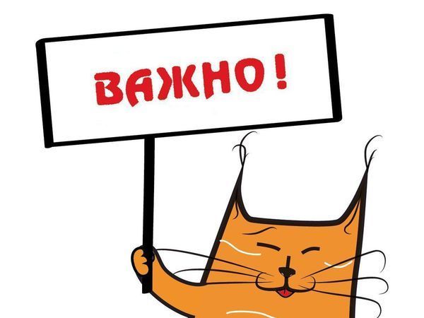Изменение цен | Ярмарка Мастеров - ручная работа, handmade