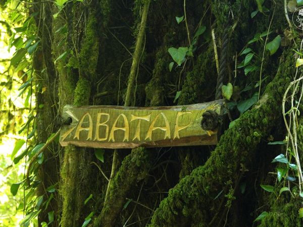 Древний дуб Аватар | Ярмарка Мастеров - ручная работа, handmade