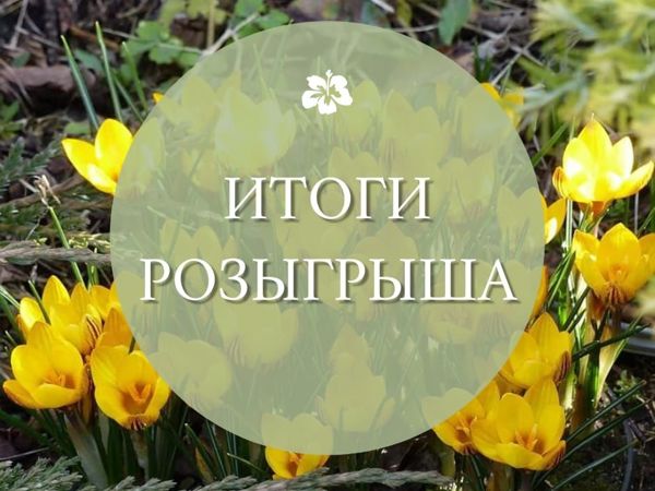Итоги розыгрыша. Поздравляем победителей! | Ярмарка Мастеров - ручная работа, handmade