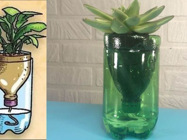 Сова мудрая, садовая: делаем из пластиковых бутылок и других подручных средств