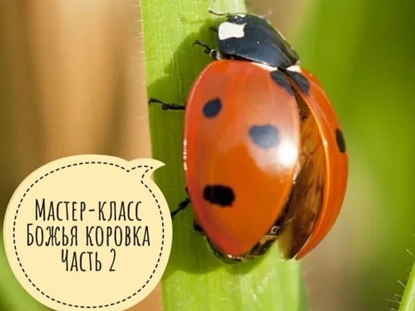 Вязаная подушка Божья коровка