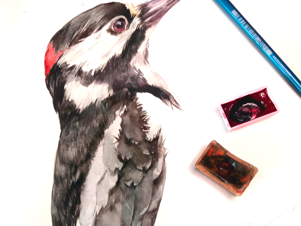 Пишем птицу акварелью | Ярмарка Мастеров - ручная работа, handmade