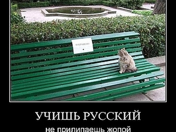 85 правил русского языка | Ярмарка Мастеров - ручная работа, handmade