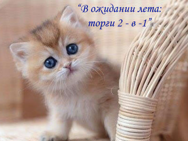 Уже завтра